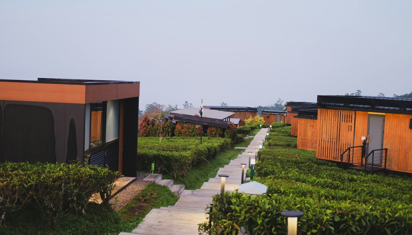 Modern cabins line a path through green tea fields.