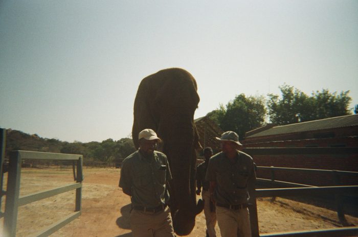 Eco-Friendly Adventure Travel Tips for Responsible Travelers